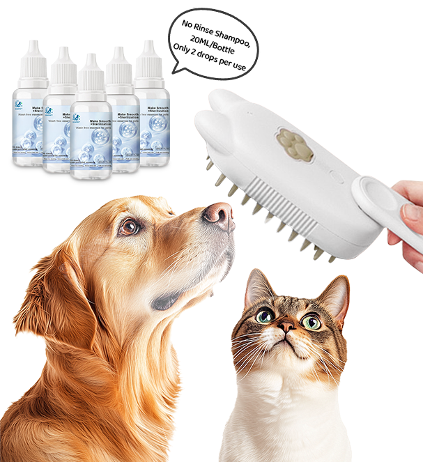 1 PC Comb with 5 bottles No-Rinse shampoo